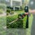 Lake Ridge Landscaping & Outdoor Services by Patriot Pro Solutions LLC